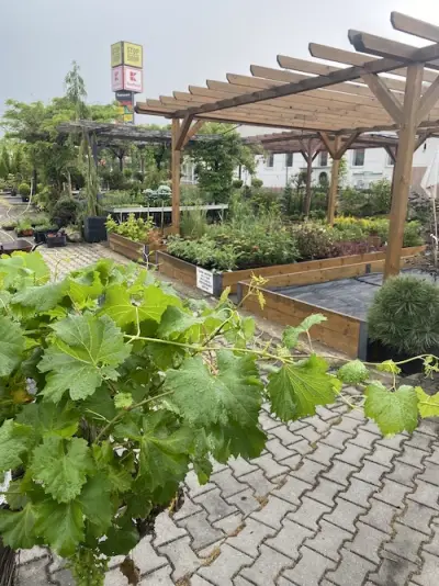 Fotka ze zahradnictví