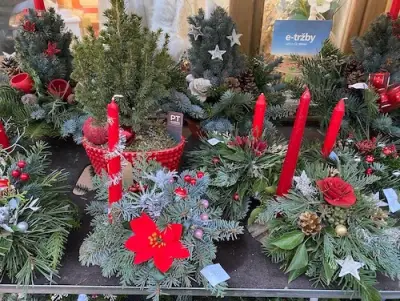 Fotka ze zahradnictví