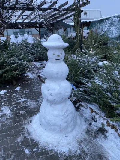 Fotka ze zahradnictví