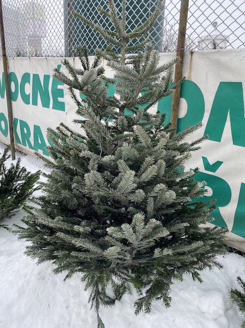 BDB4275A-F055-4CB8-9C25-AAD4084679CA.jpeg